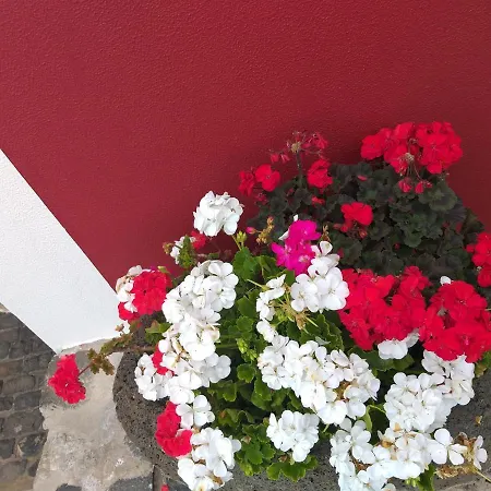 The Old School 펜션