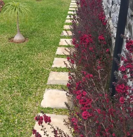 The Old School 펜션