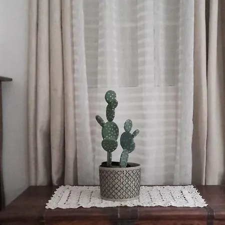 The Old School 칼례타