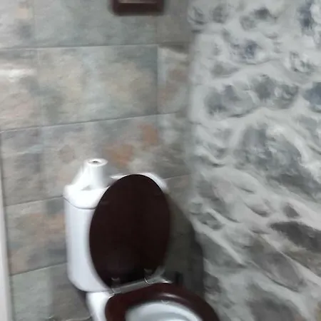 度假居 The Old School *