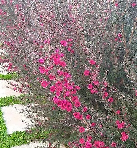 The Old School 度假居 *