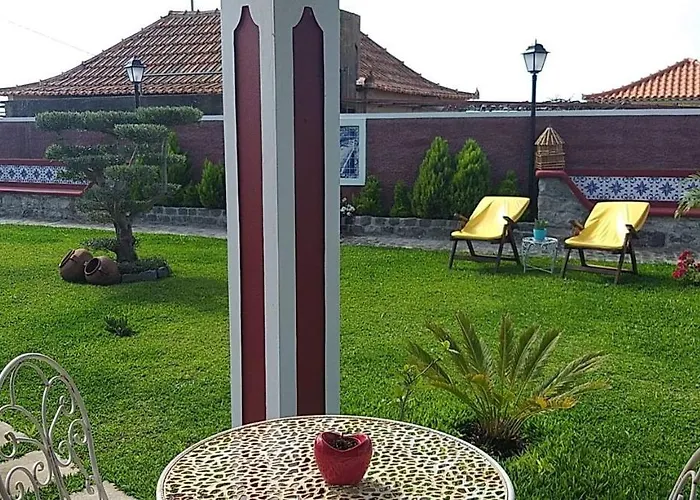 The Old School 卡列塔