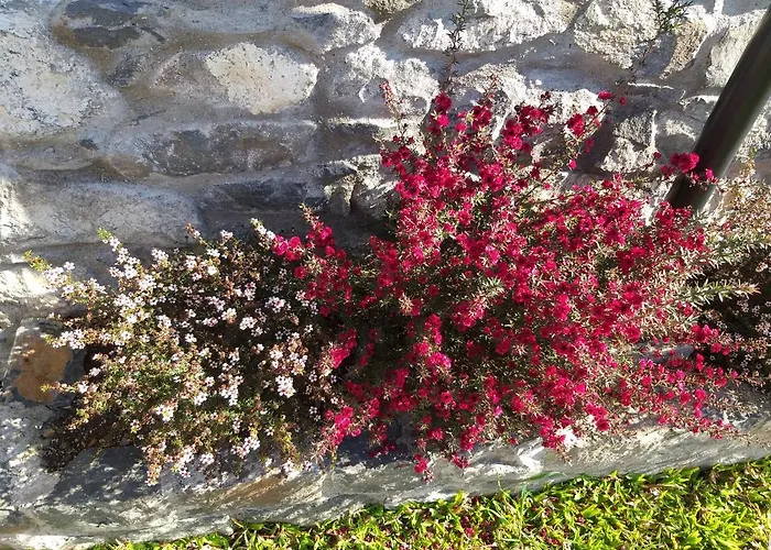 The Old School 度假居 *