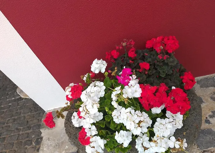 The Old School Dom wakacyjny