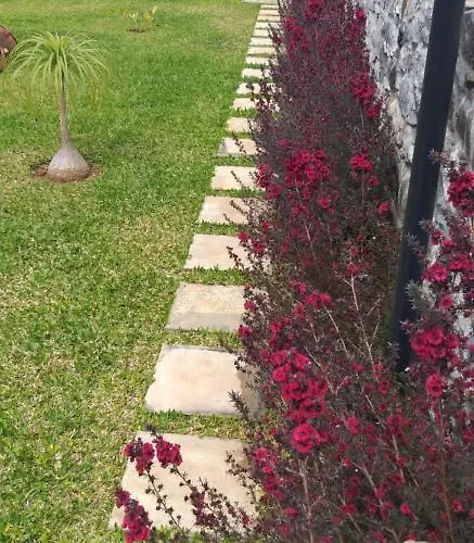 The Old School Dom wakacyjny